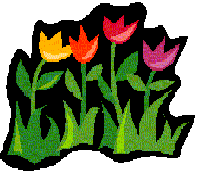 Tulpe