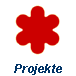  Projekte 